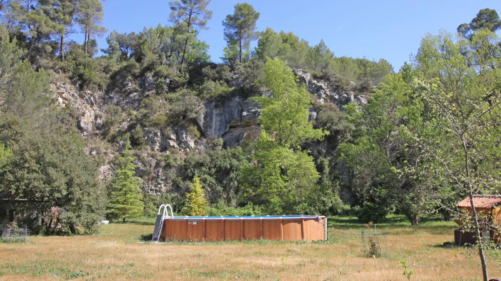 Orchidée-Swimming pool