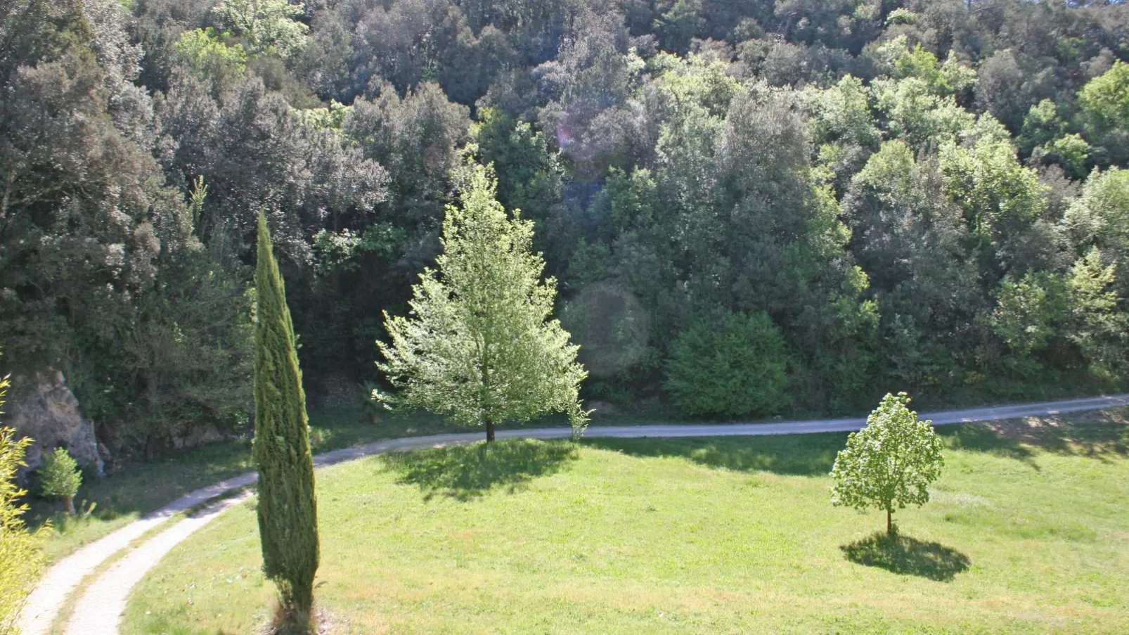 Orchidée-Gardens in summer