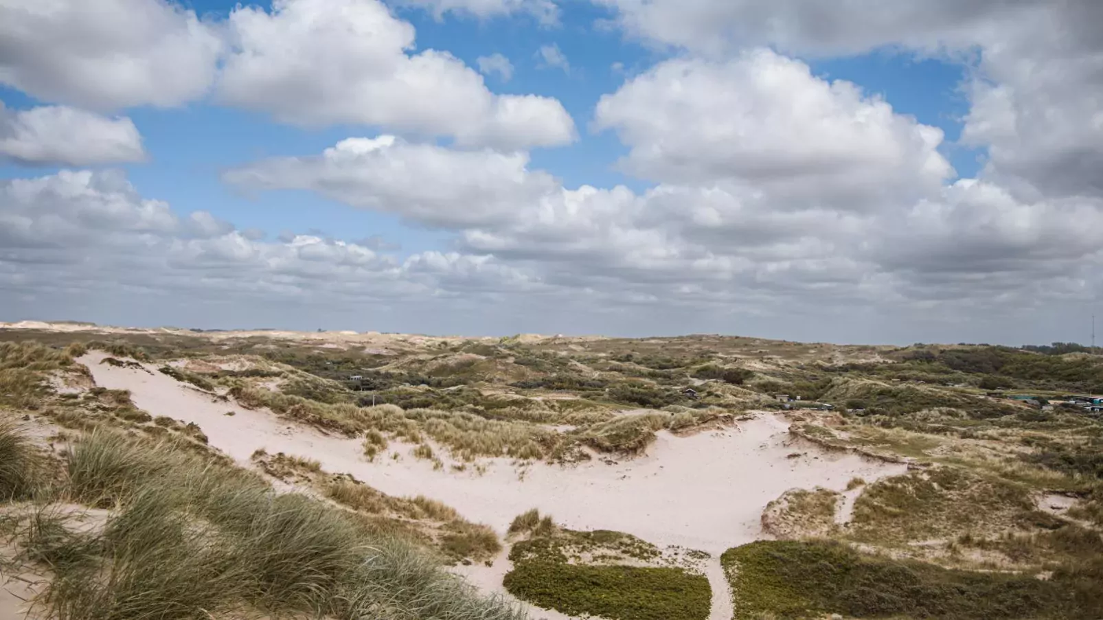 De Kreeft-Areas summer 1km