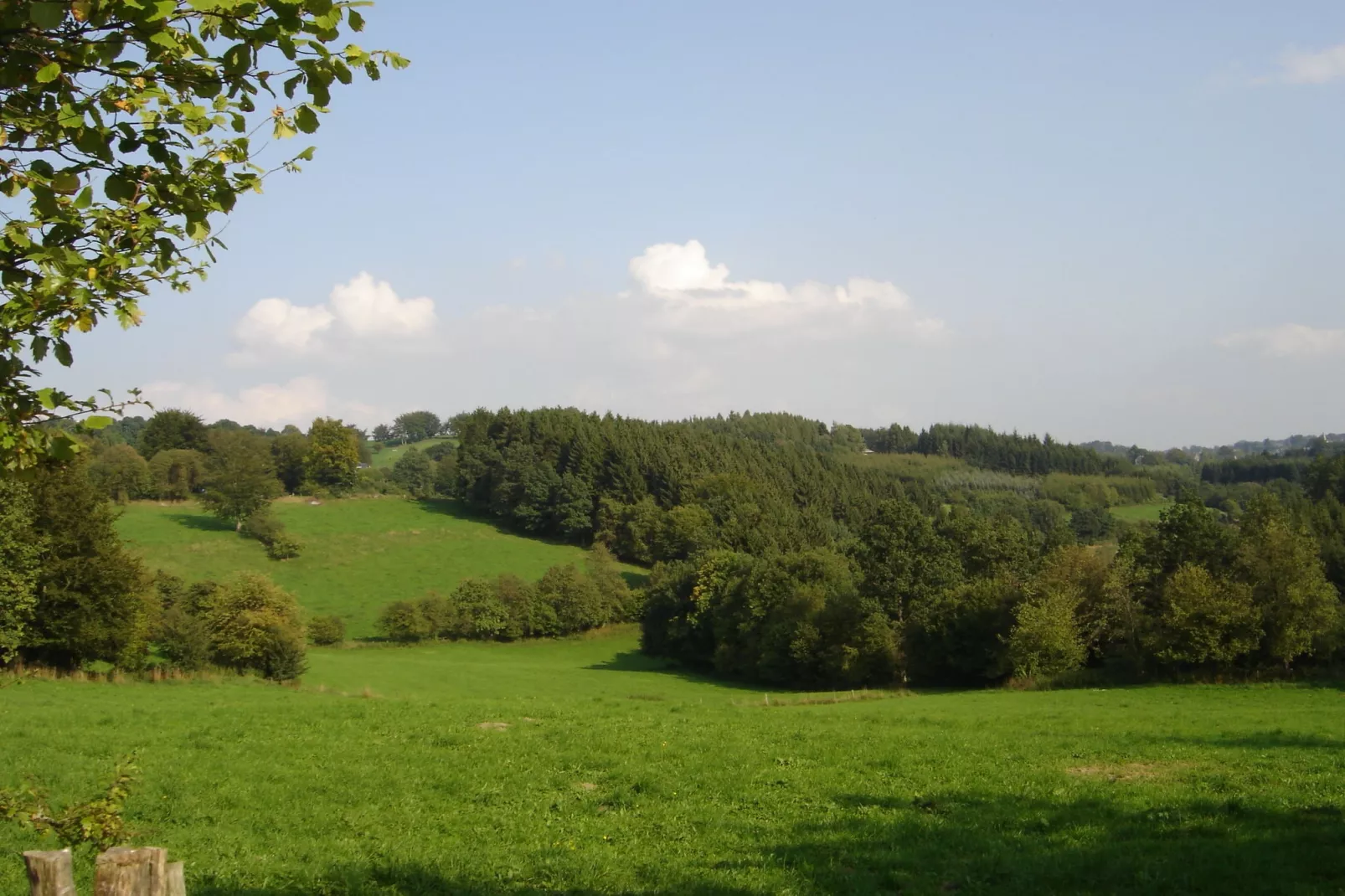 Dans les Champs-Areas summer 1km