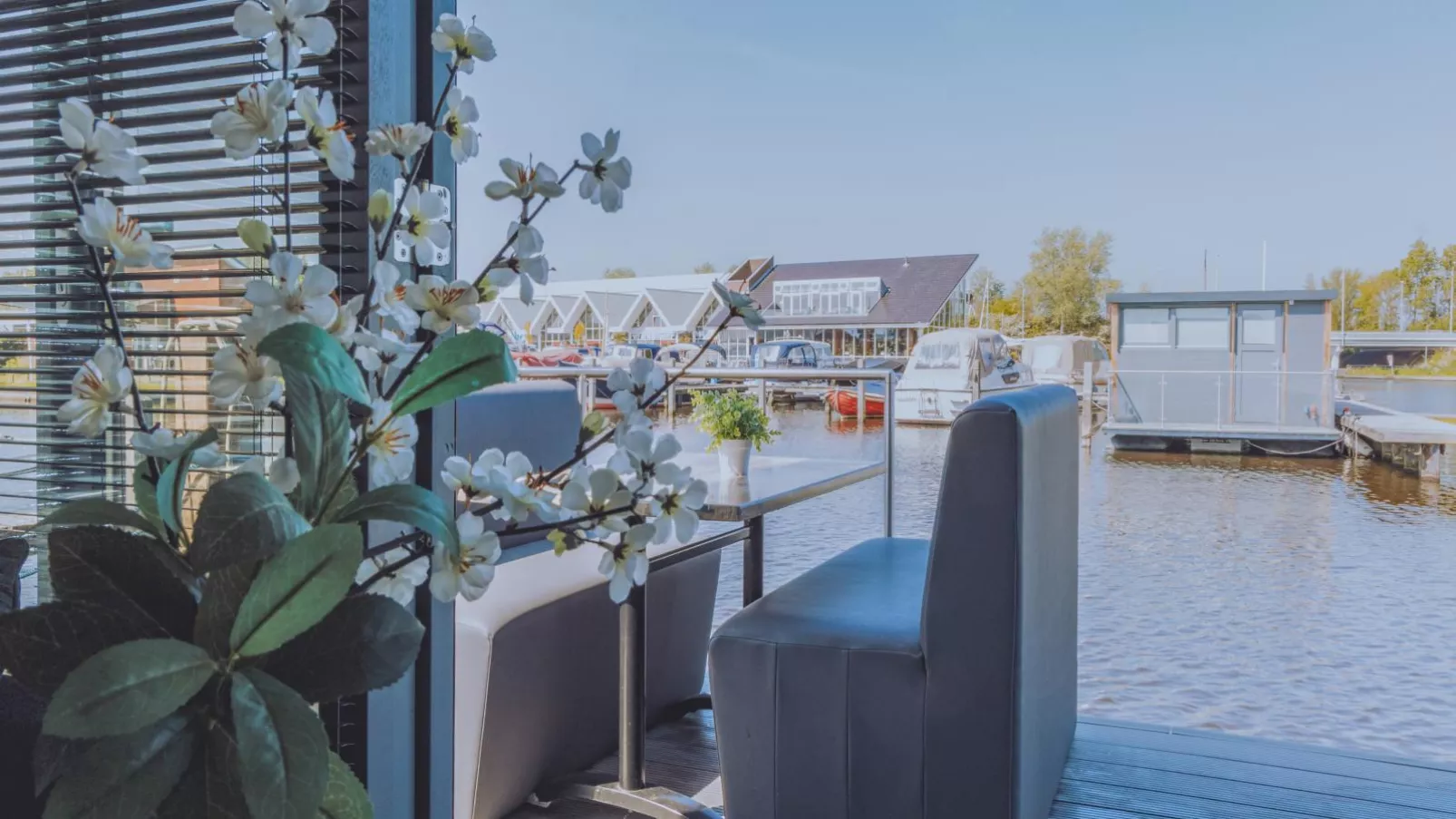Tiny houseboat Uitgeest I-Aussicht Sommer