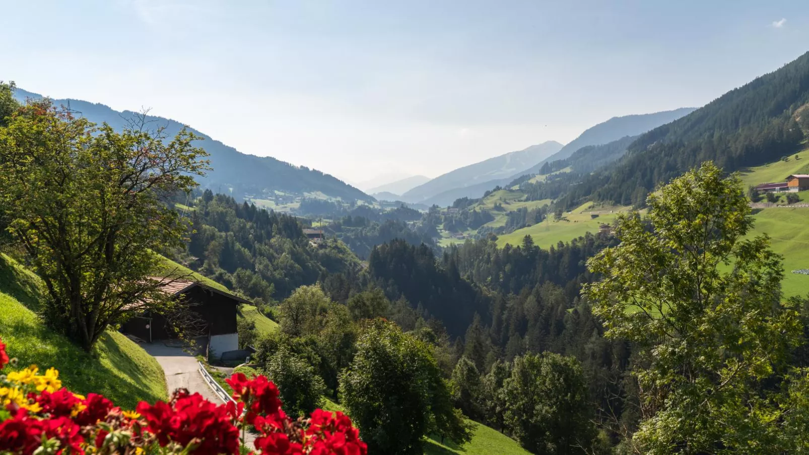 Haus Kienast-View summer