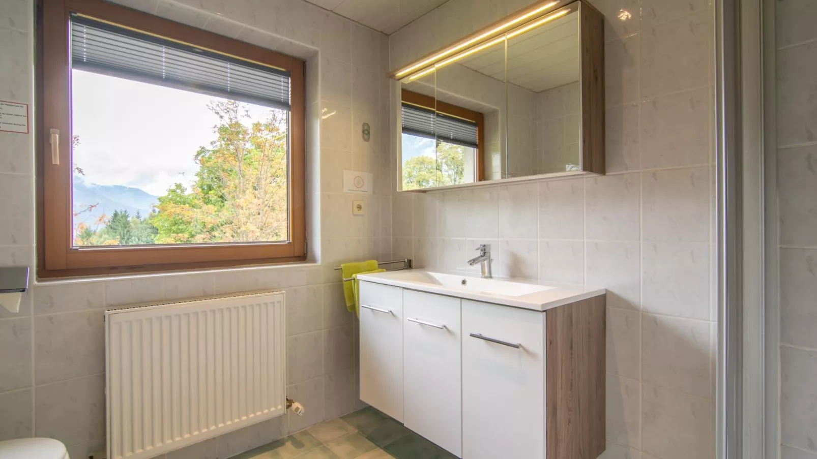 Chalet Rosa-Bathroom
