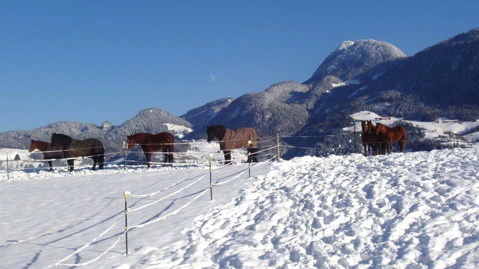 Chalet Rosa-View winter