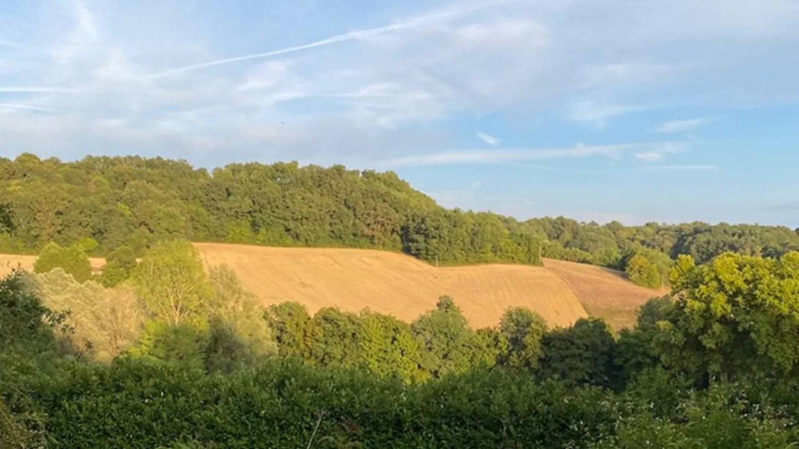 Gite La Folie-View summer