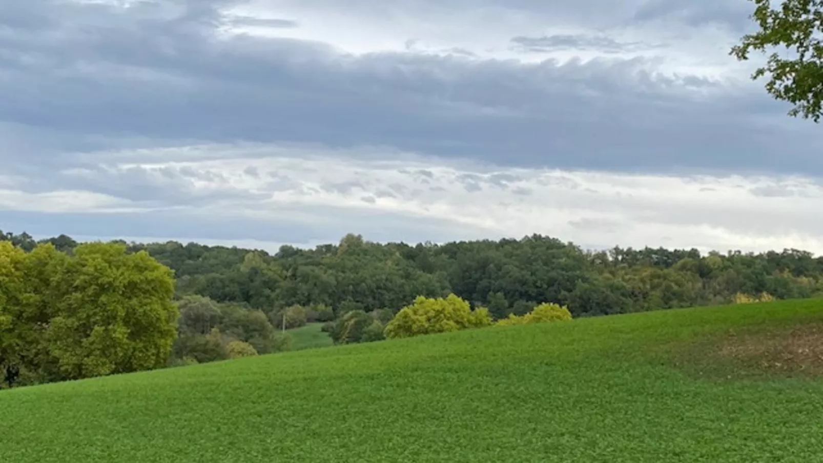 viewsummer
