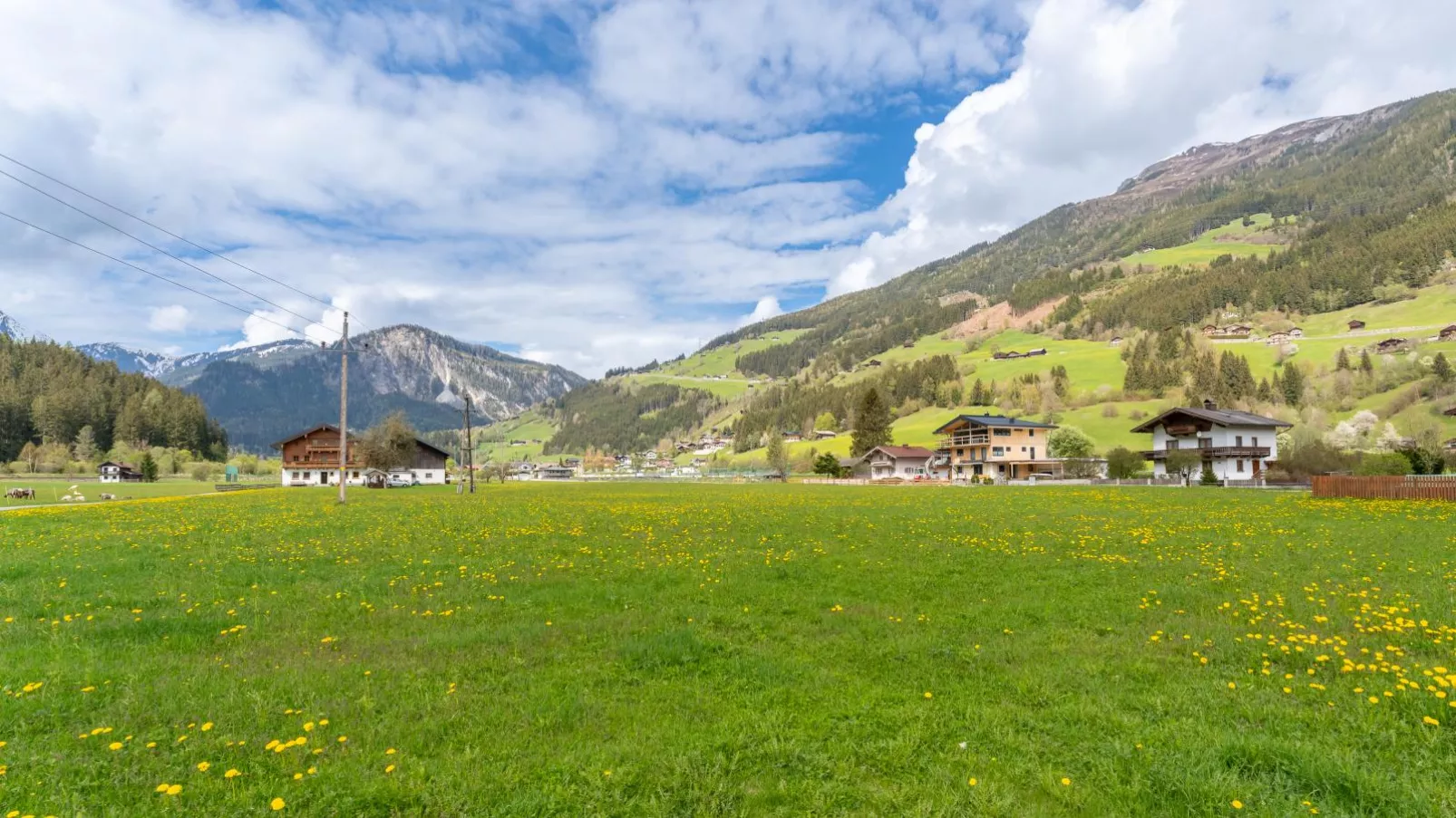 Haus Wald-View summer