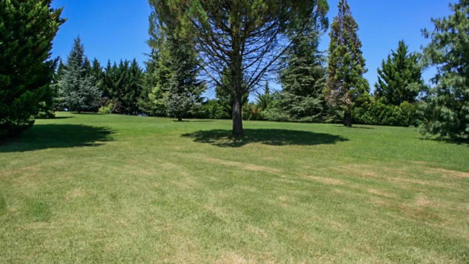 Gites de Saint Maurin-Gardens summer