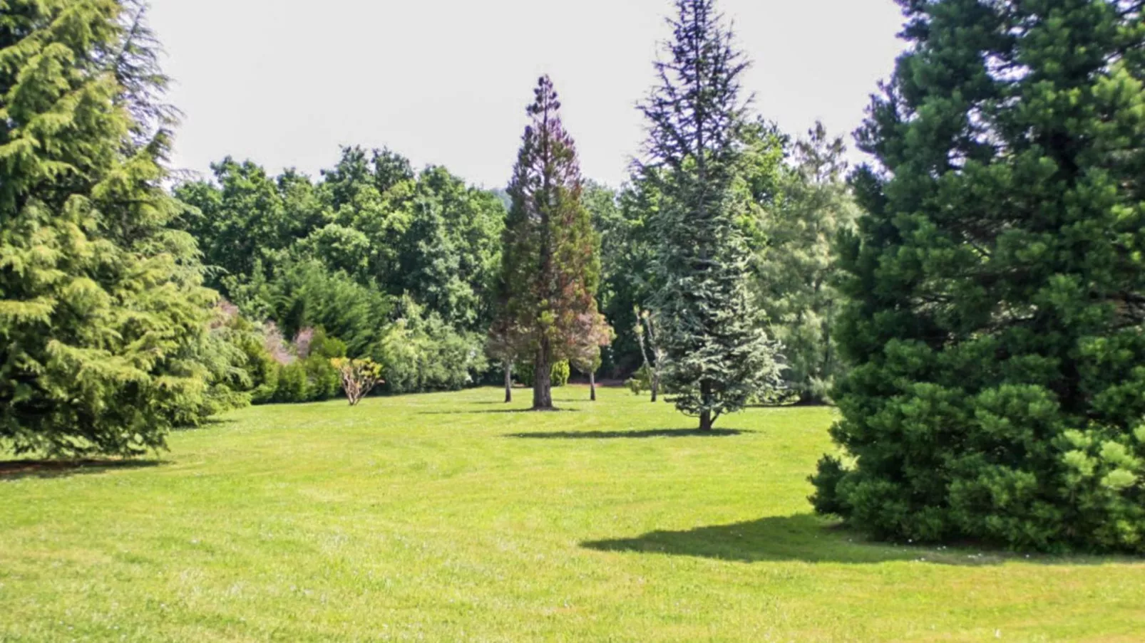 Gite La Sempesserre-Gardens summer