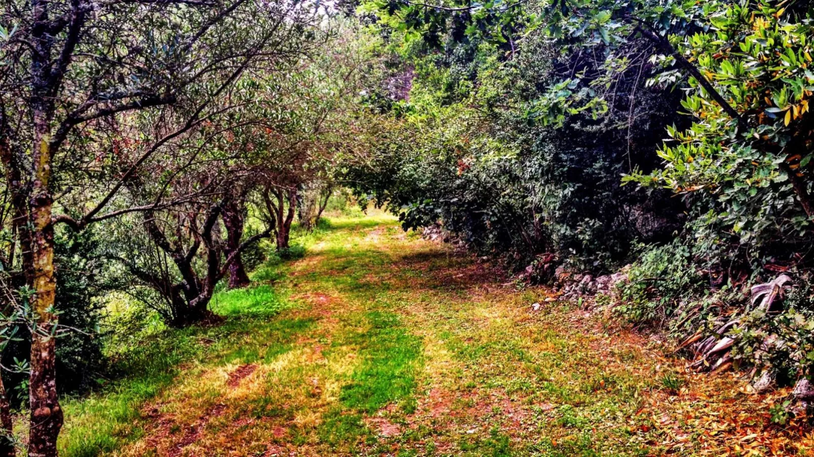 Gite La Sempesserre-Areas summer 1km