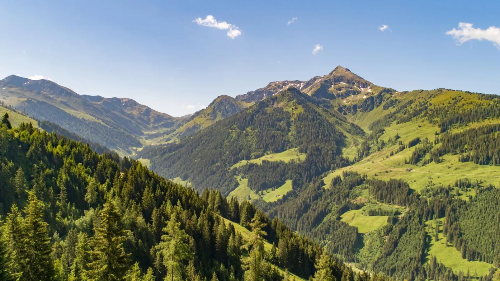 EAGGA-Niederleger Alm-Aussicht Sommer