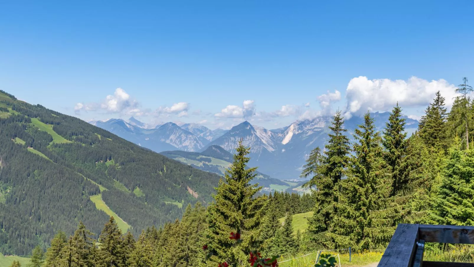 EAGGA-Niederleger Alm-Aussicht Sommer