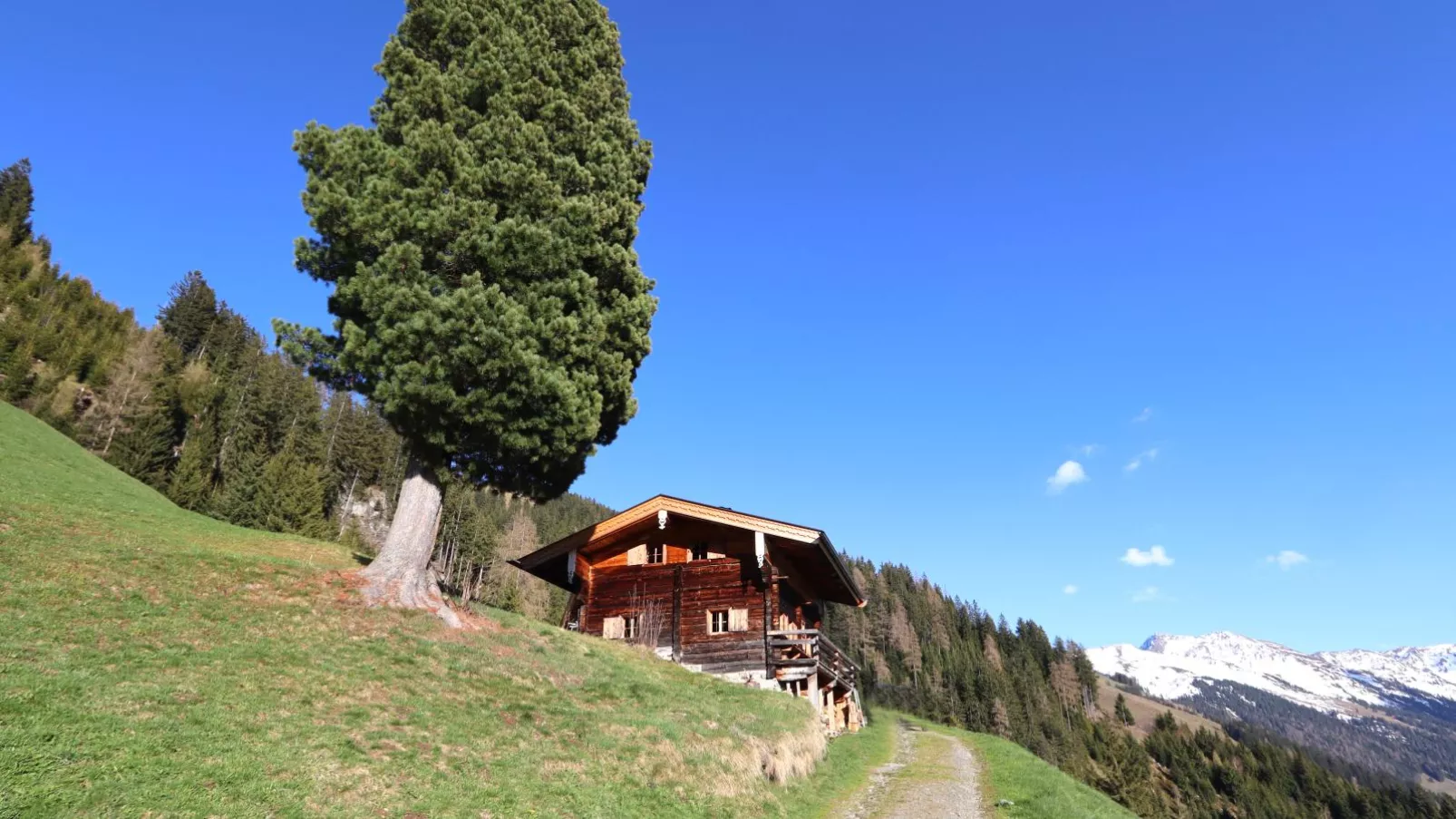 EAGGA-Niederleger Alm-Außenbereich Sommer