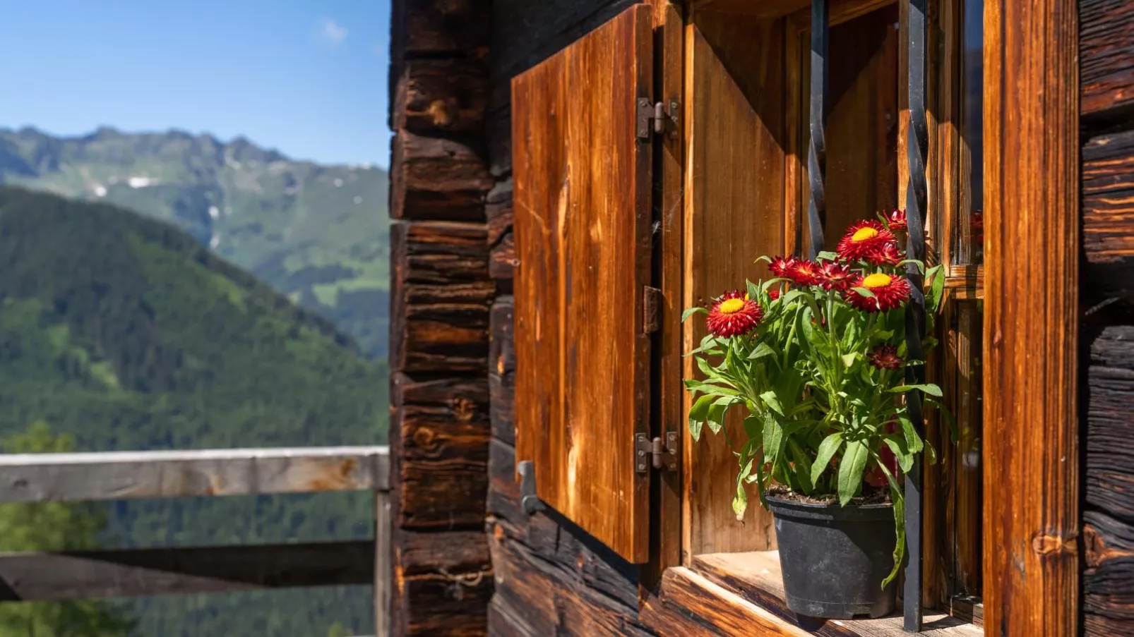 EAGGA-Niederleger Alm-Ambiente