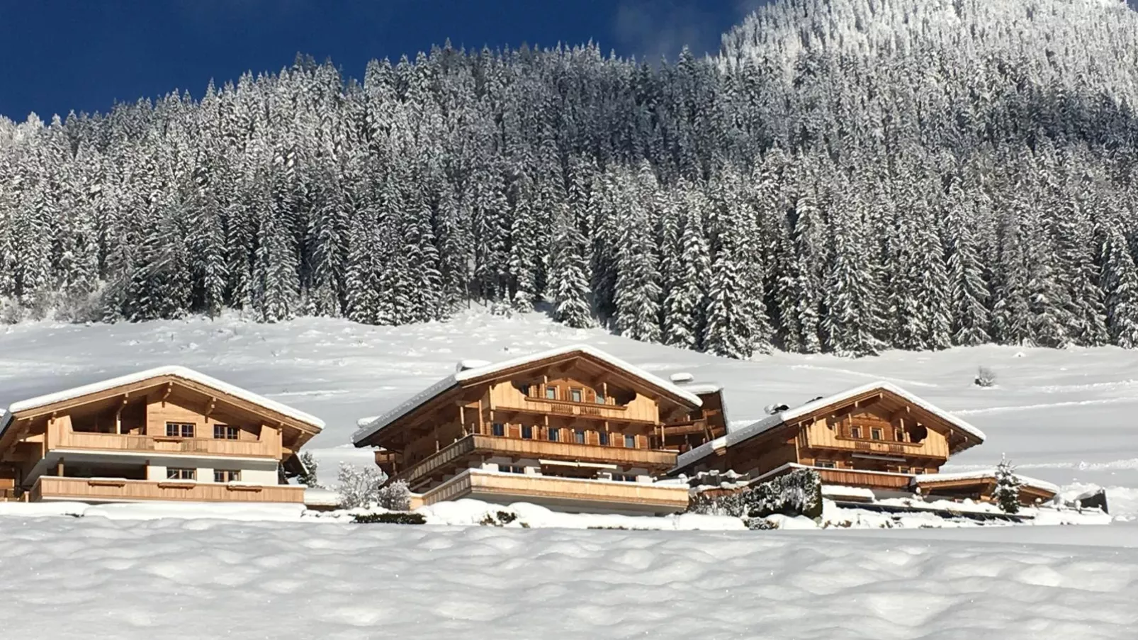 Haus Fernwald Top Jill-Exterior winter