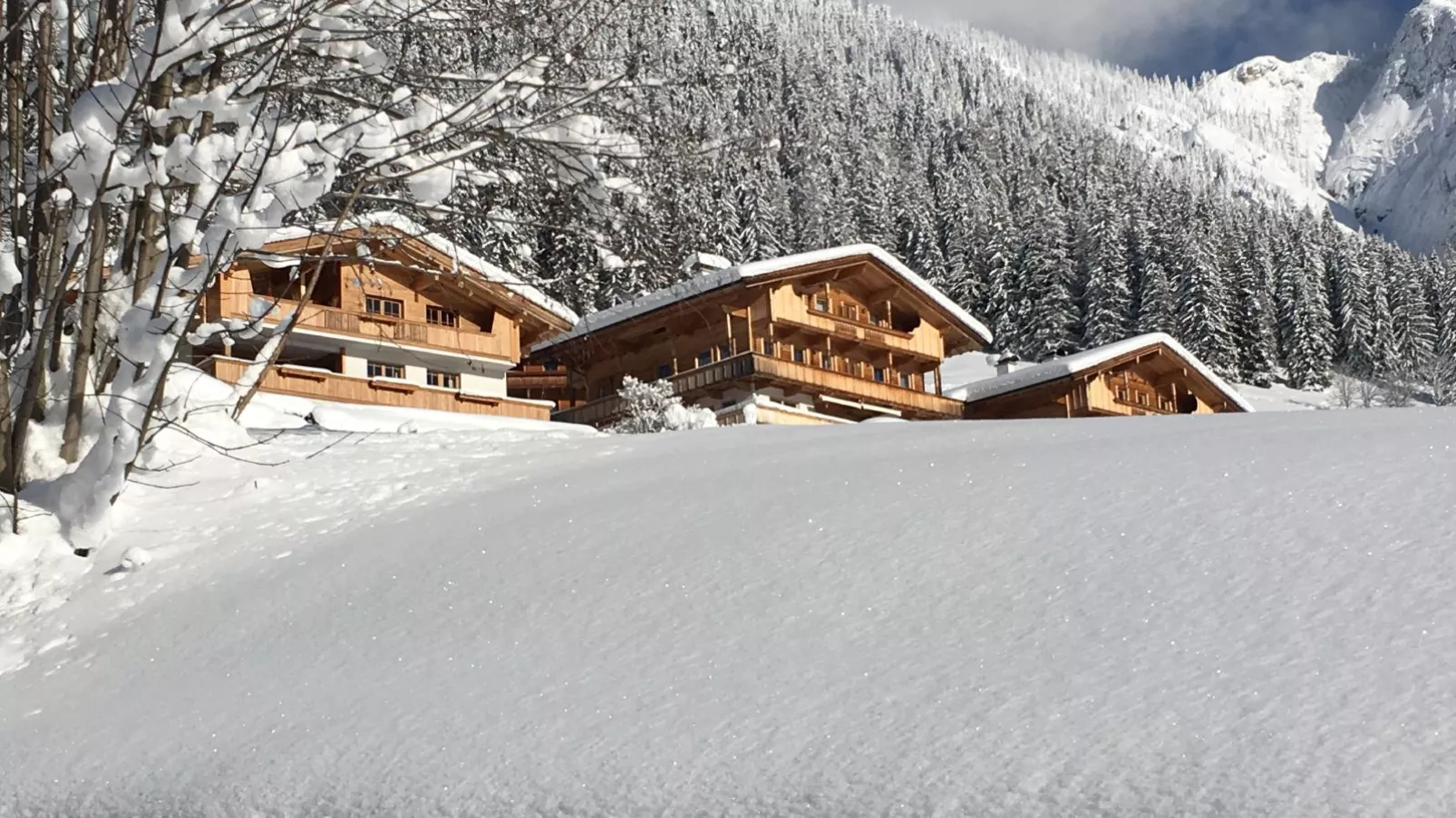 Haus Fernwald Top Jill-Exterior winter