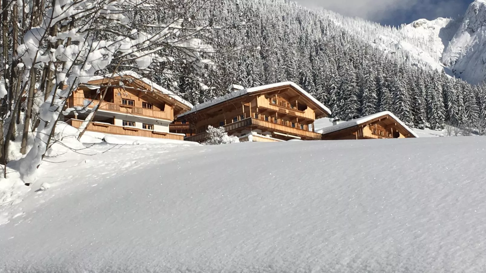 Haus Fernwald Top Rens-Exterior winter