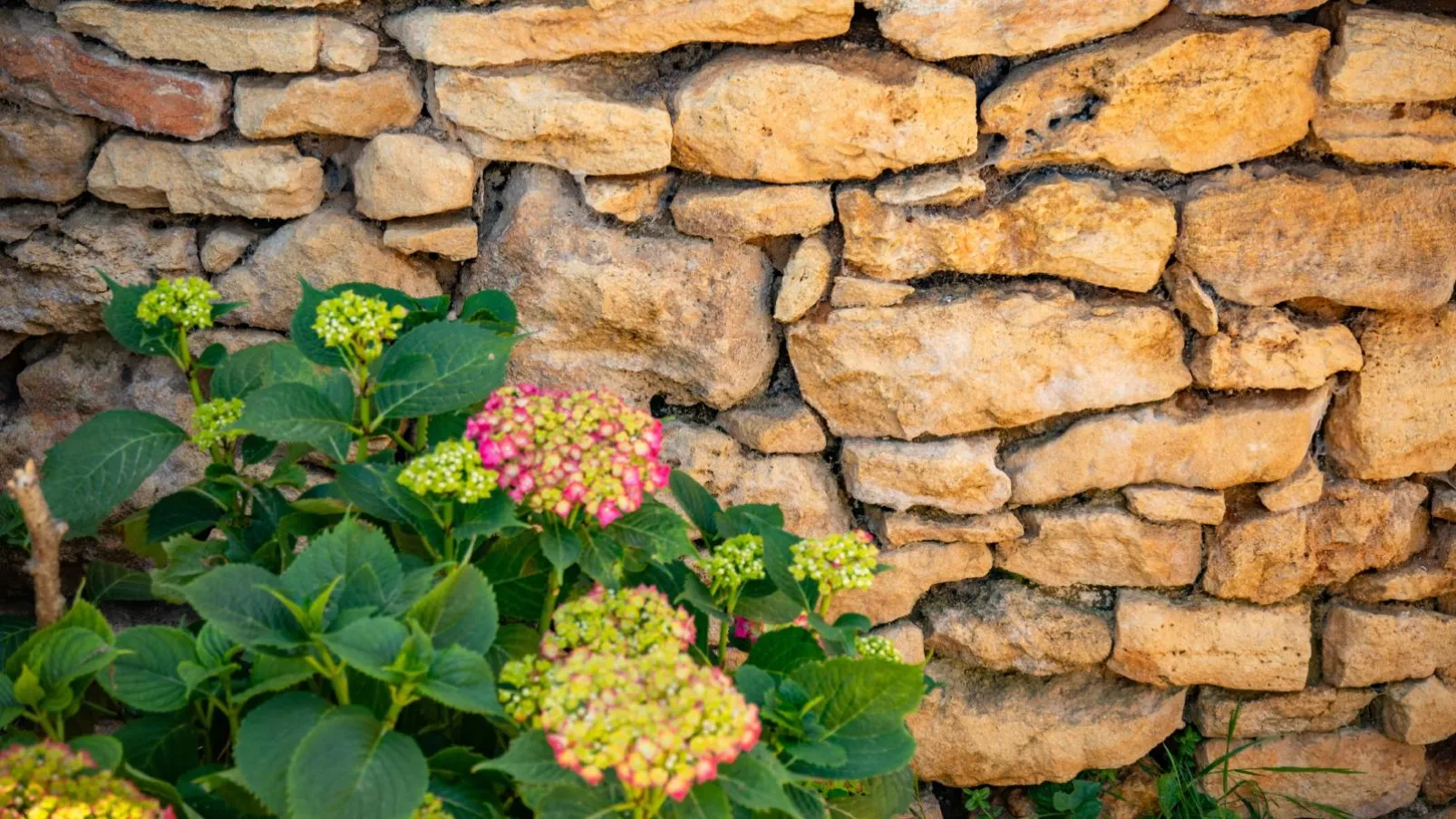 Maison Girou Haut-Ambiente