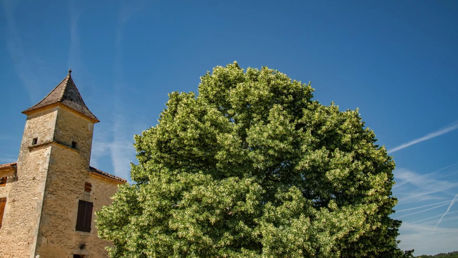 Maison Girou Haut-Außenbereich Sommer