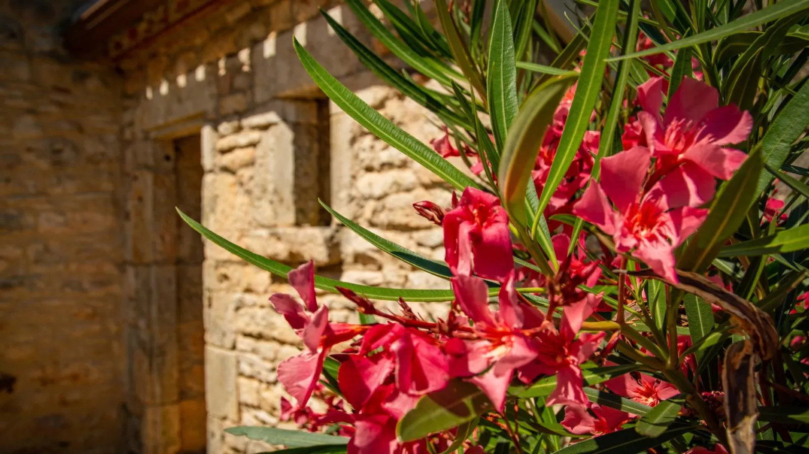Maison Girou Haut-Ambiente