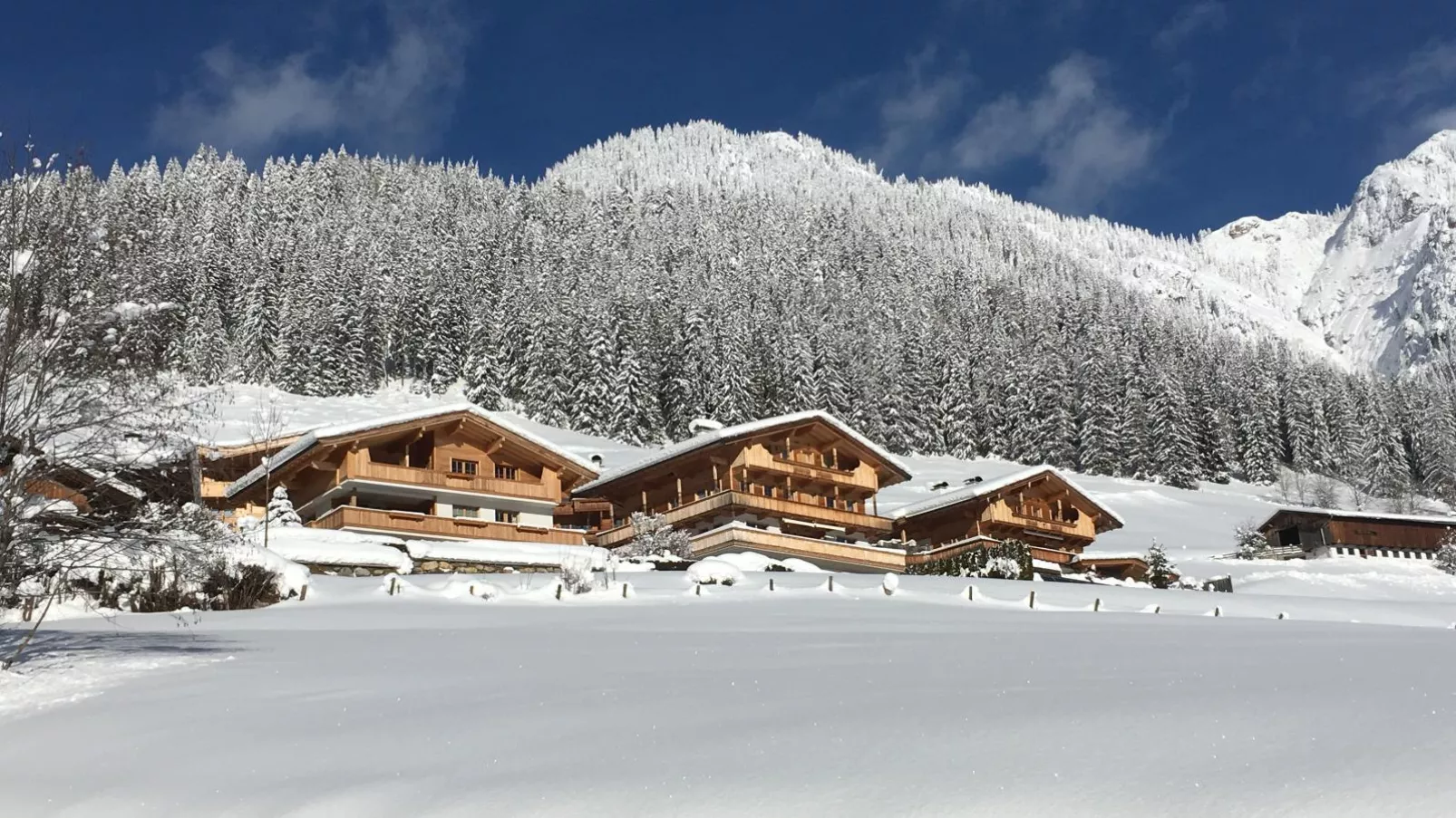 Haus Fernwald Top Tim-Exterior winter