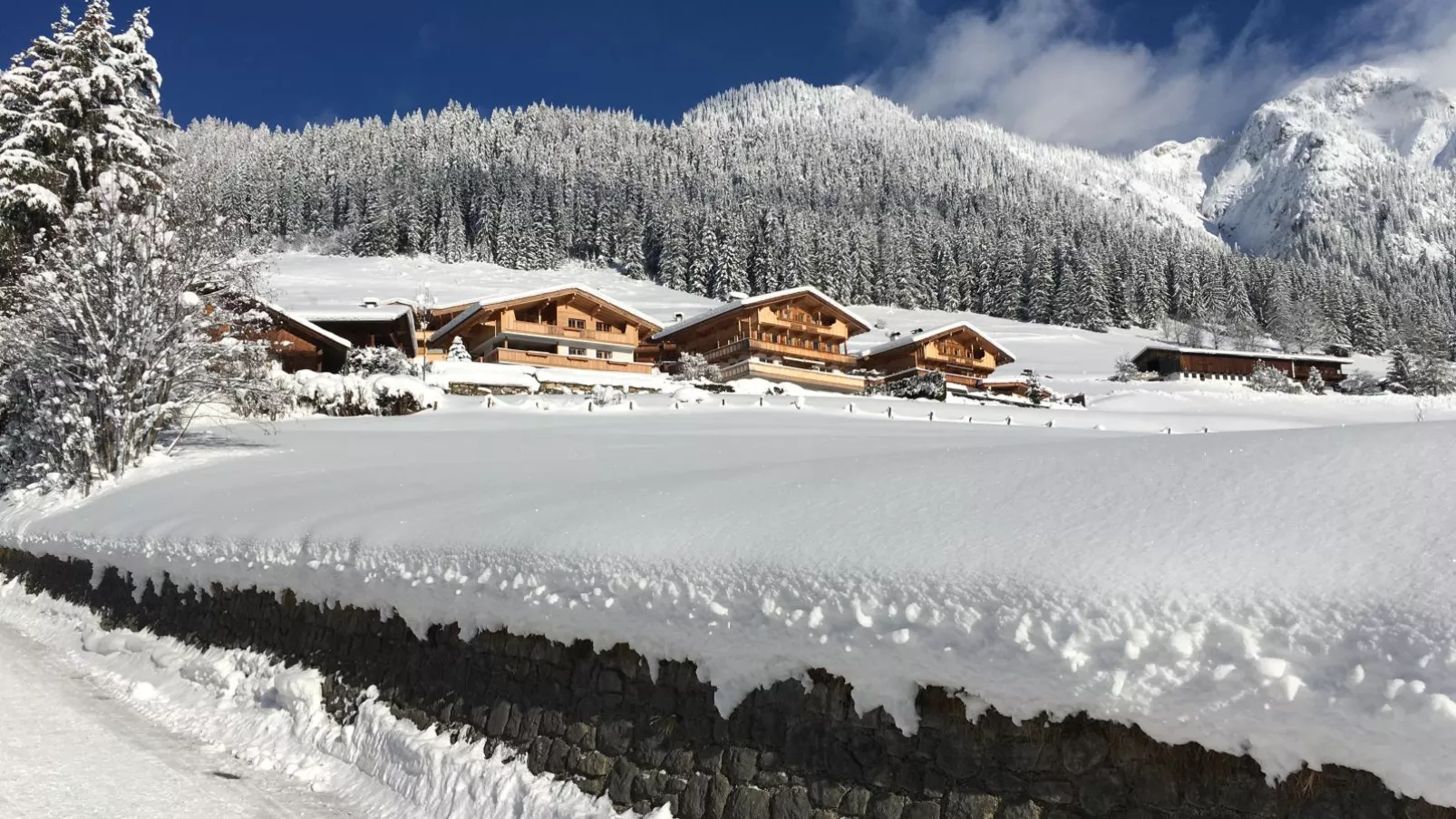 Haus Fernwald Top Tim-Exterior winter