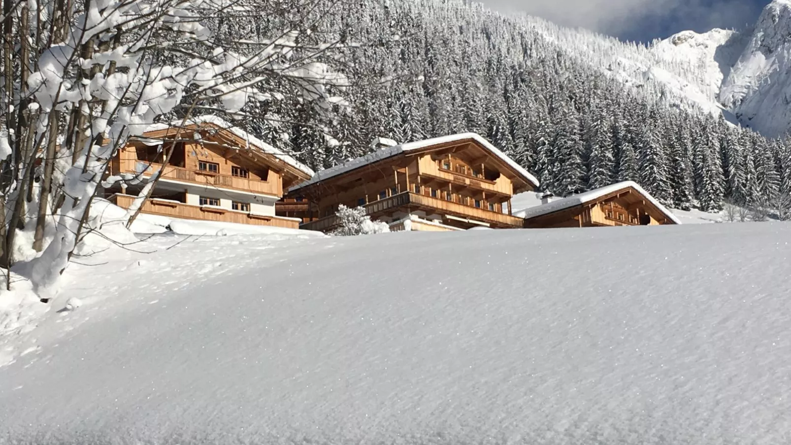 Haus Fernwald Top Tim-Exterior winter