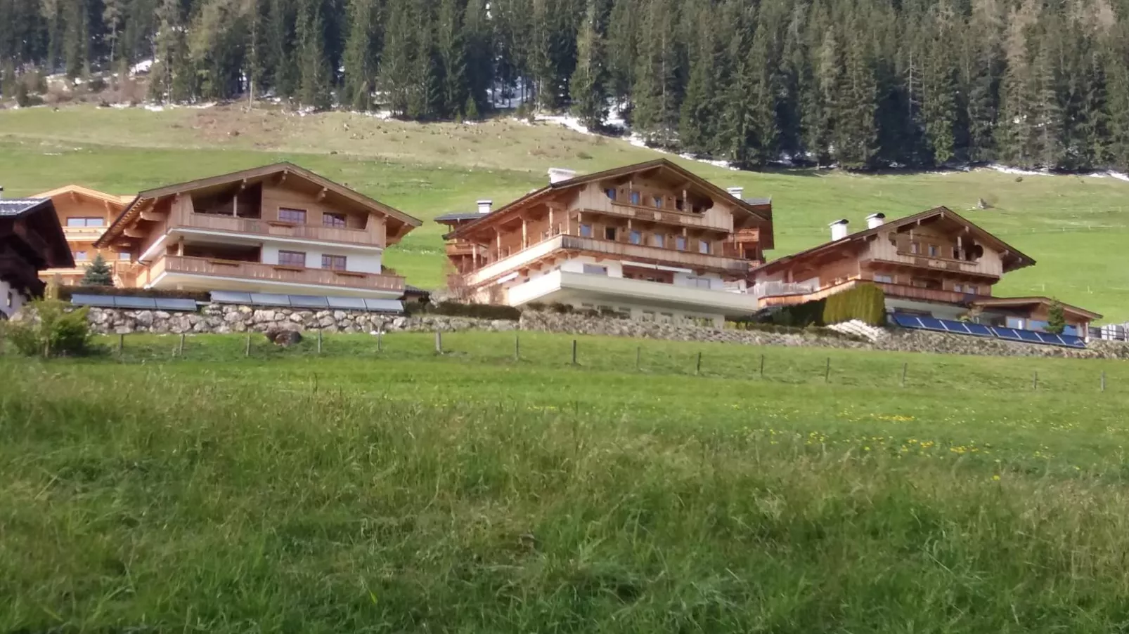 Haus Fernwald Top Tim-Exterior summer