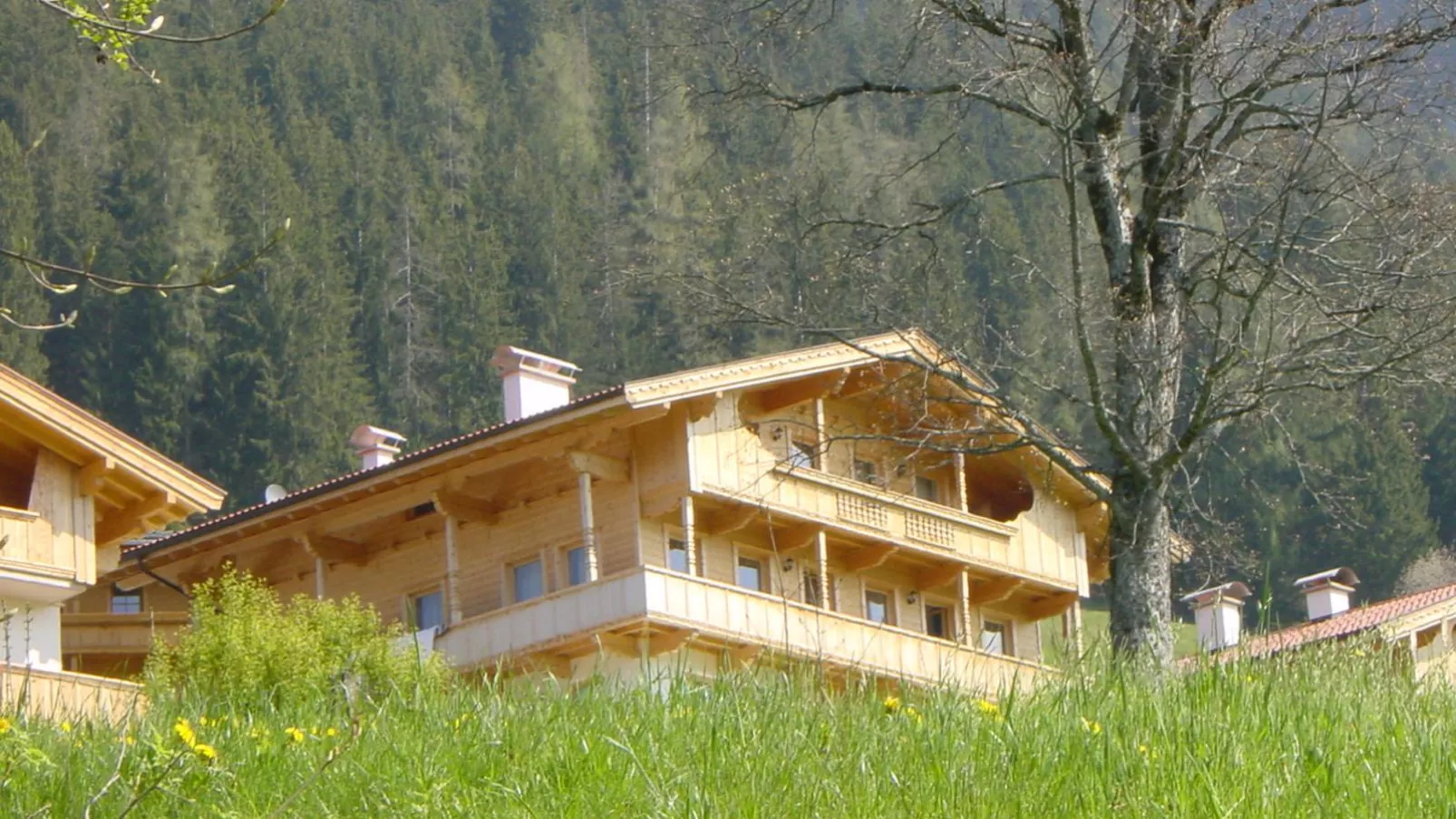 Haus Fernwald Top Tim-Exterior summer