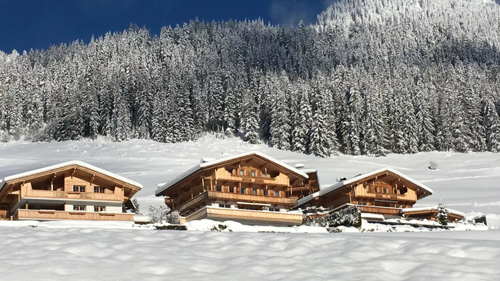 Haus Fernwald Top Nynke-Exterior winter