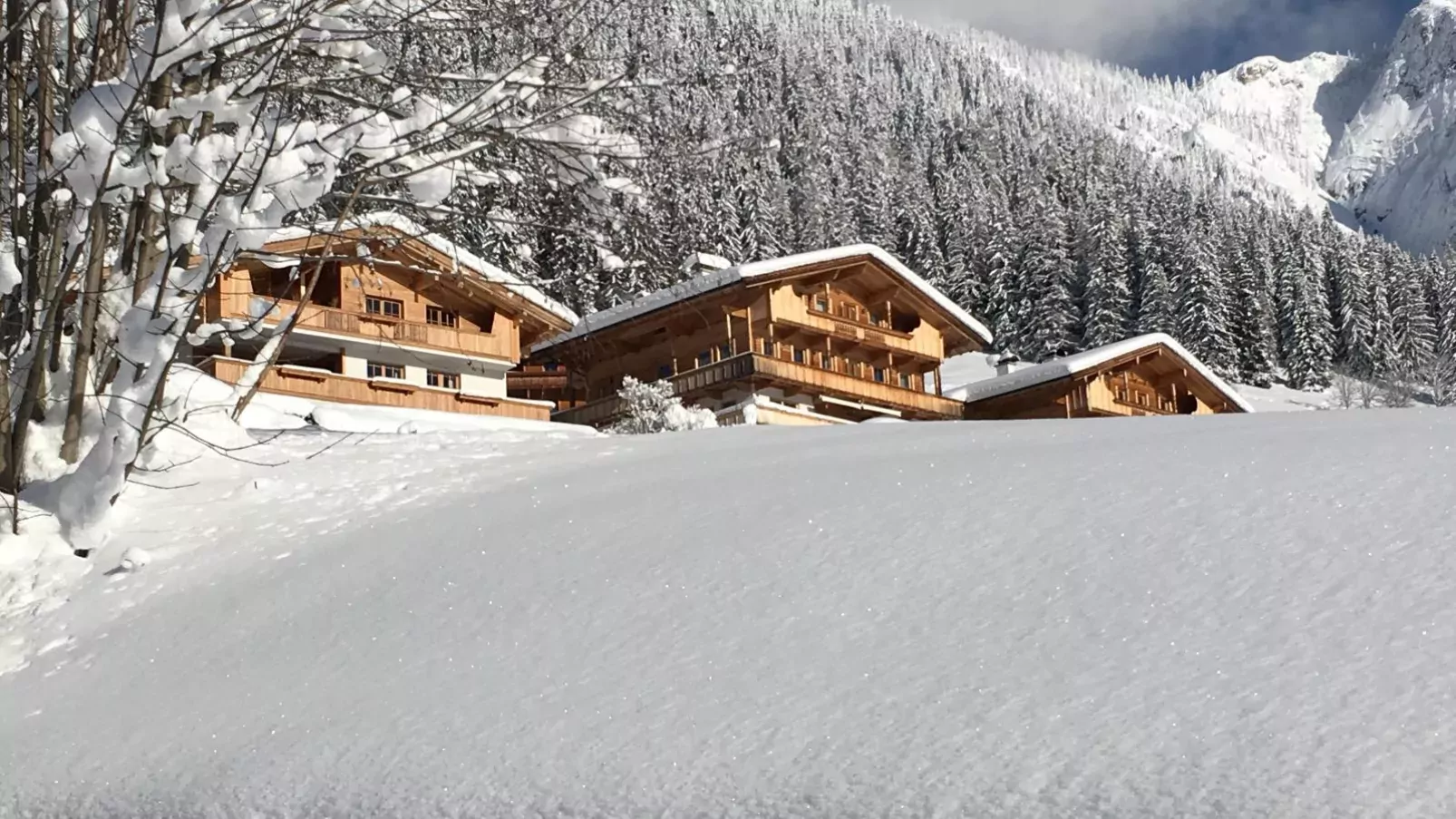 Haus Fernwald Top Nynke-Exterior winter