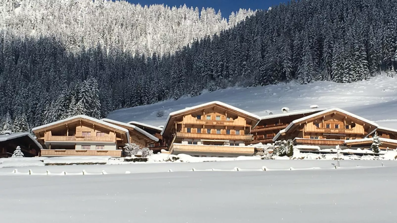 Haus Fernwald Top Nynke-Exterior winter