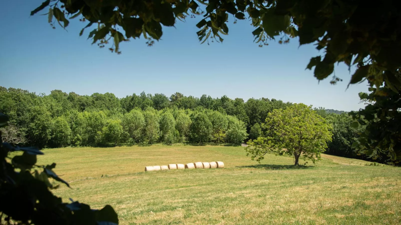 Gite Girou Haut-View summer