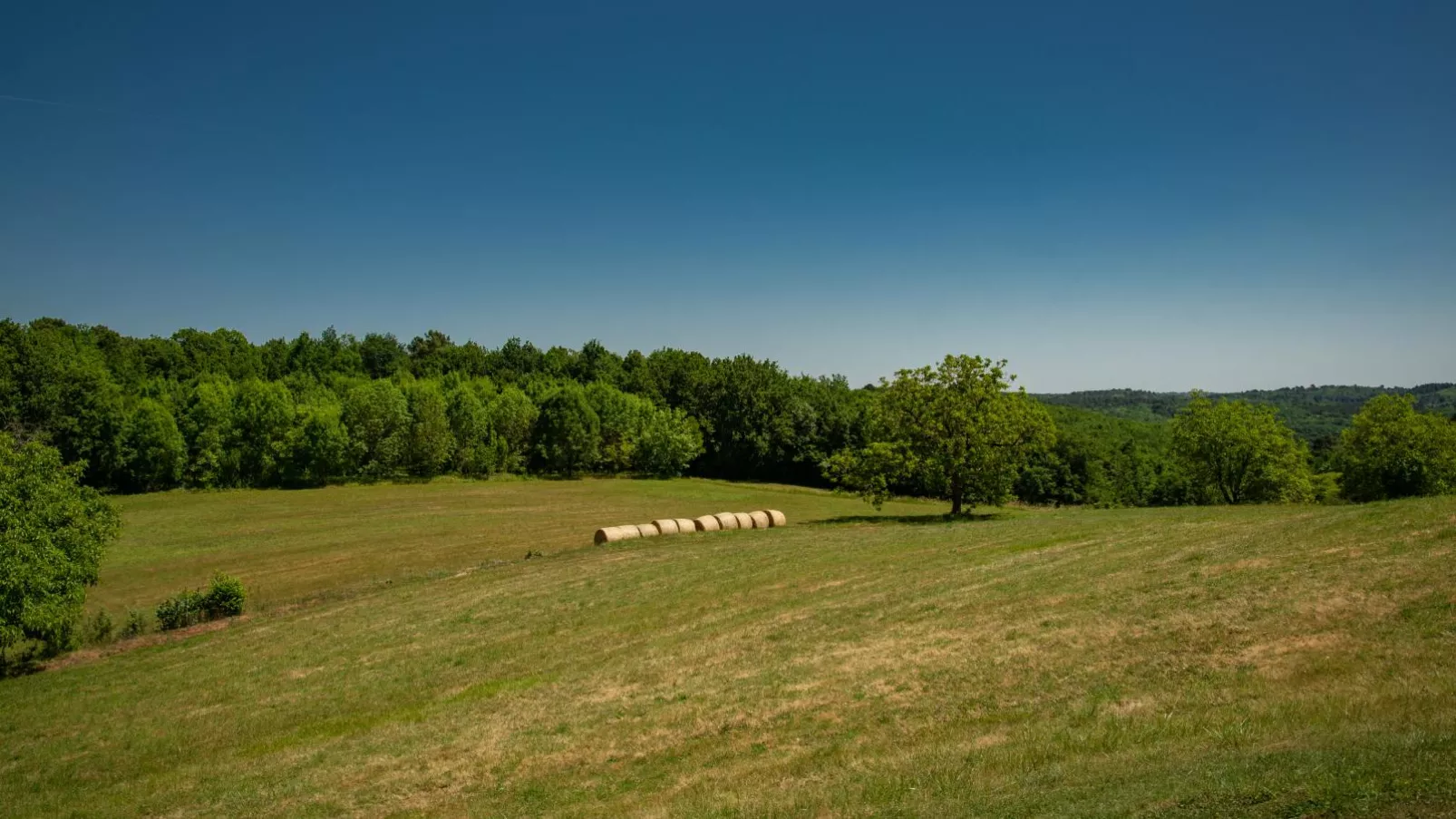 Gite Girou Haut-View summer