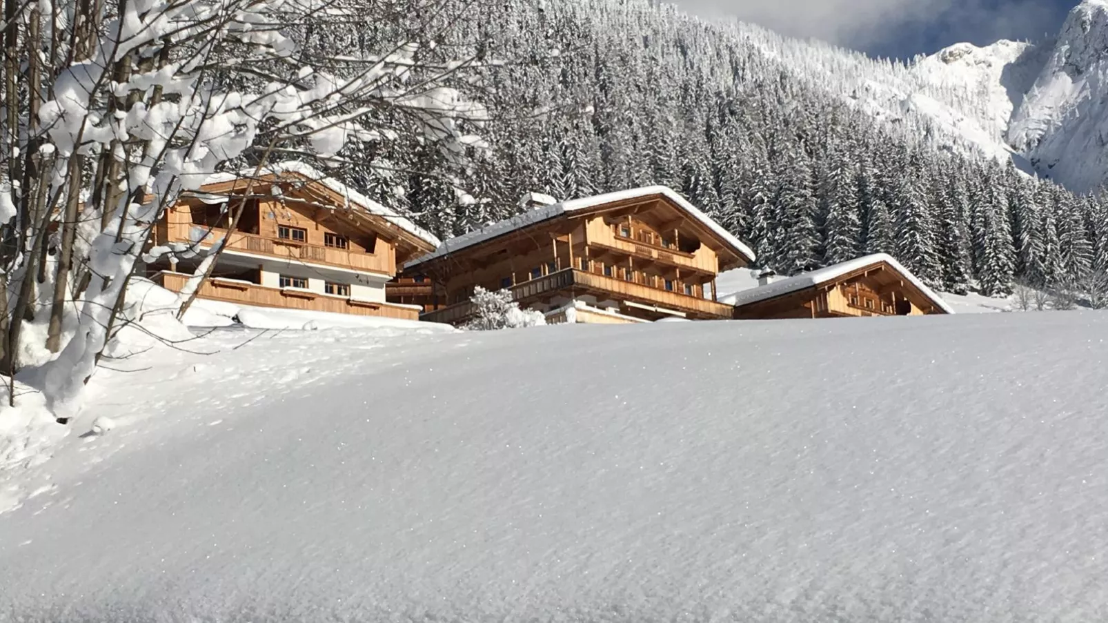 Haus Fernwald Top Jill und Rens-Exterior winter