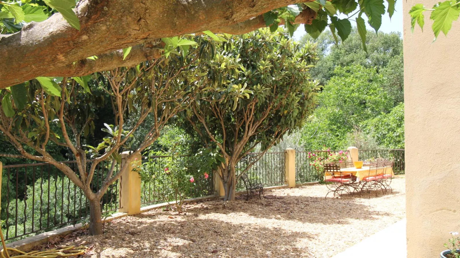 Maison Jaune-Gardens in summer