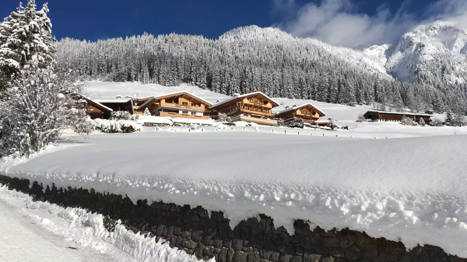Haus Fernwald Top Tim und Nynke-Außenbereich Winter