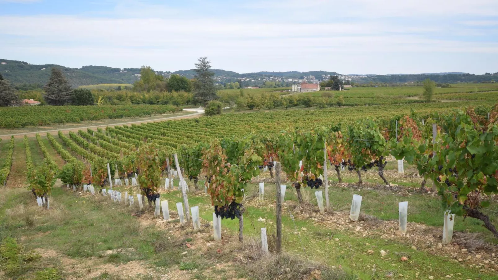 Villa la Fontaine-View summer