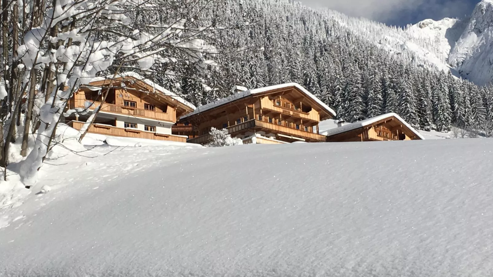 Haus Fernwald Top Tim und Nynke-Außenbereich Winter