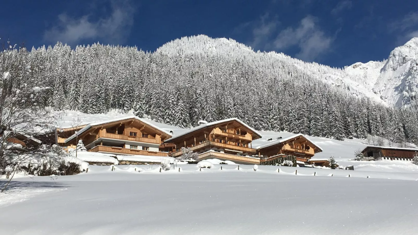 Haus Fernwald Top Tim und Nynke-Außenbereich Winter