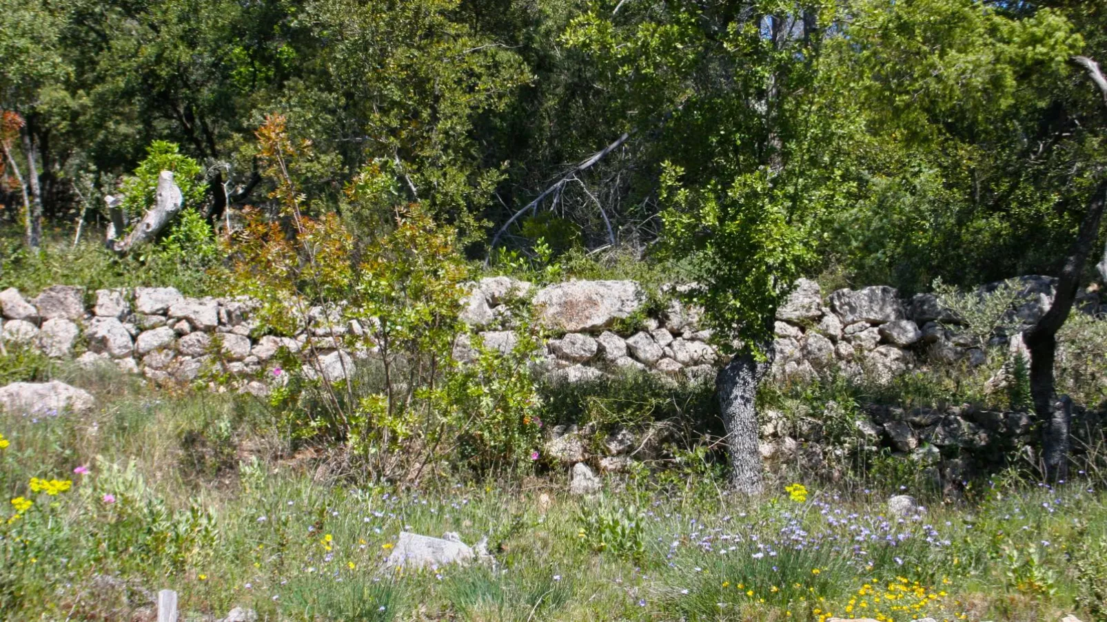 La Bergerie