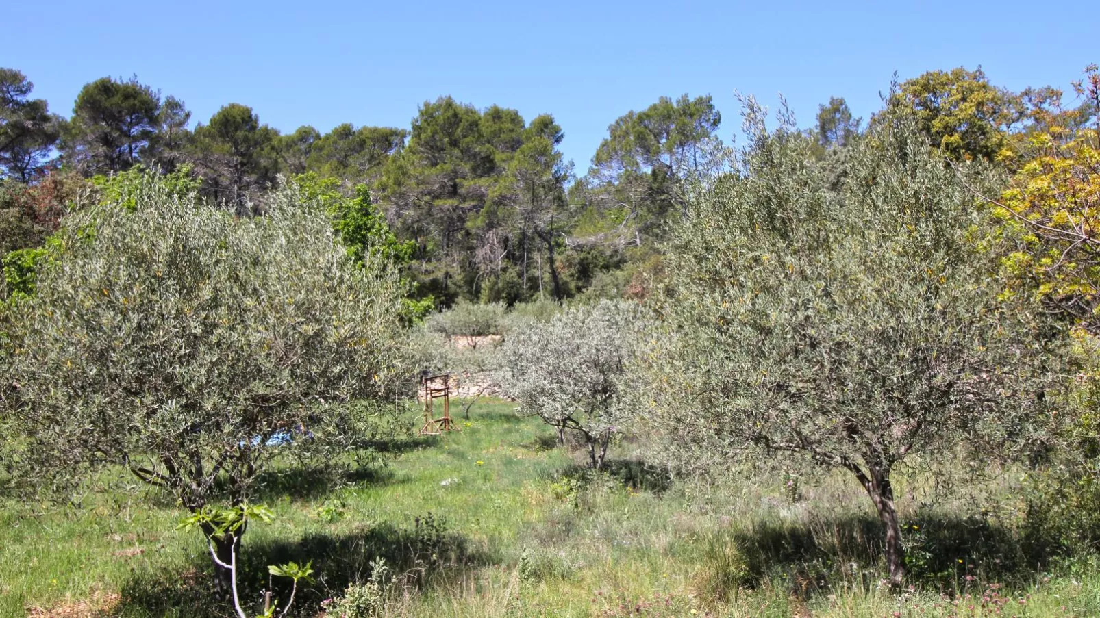 La Bergerie