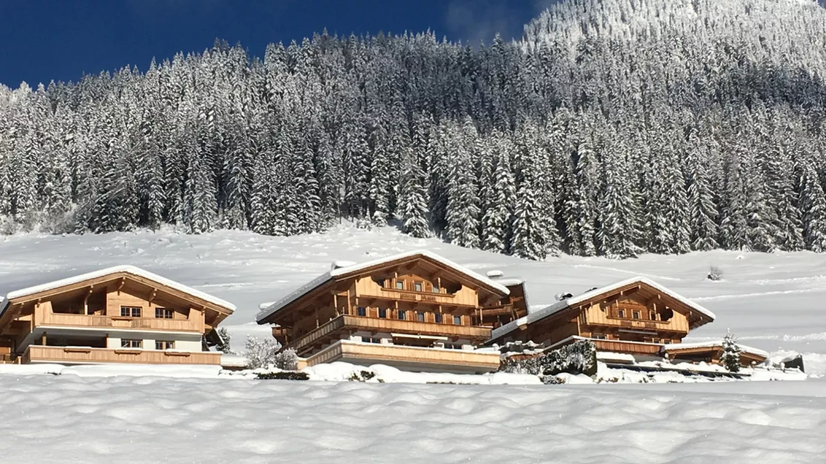 Haus Fernwald-Exterior winter