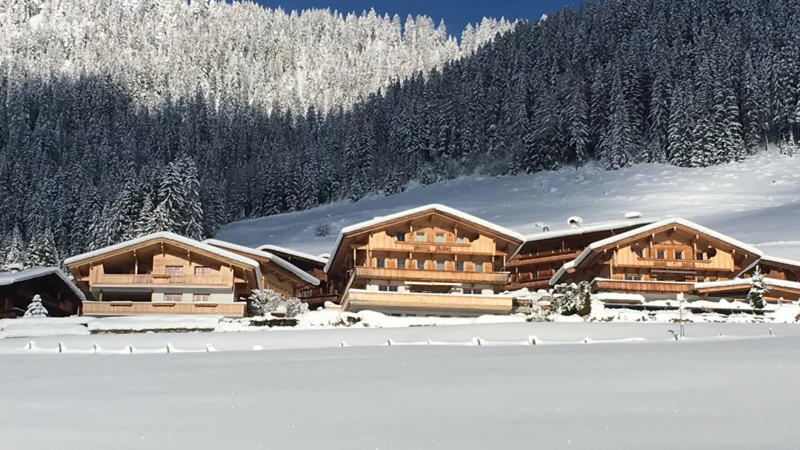 Haus Fernwald-Exterior winter