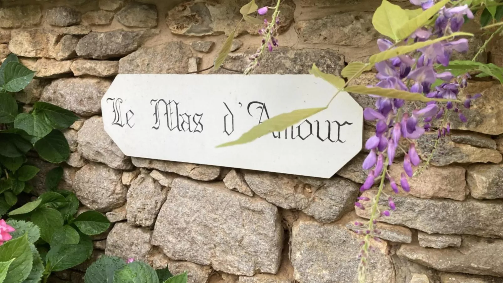 Mas dAmour-Exterior summer