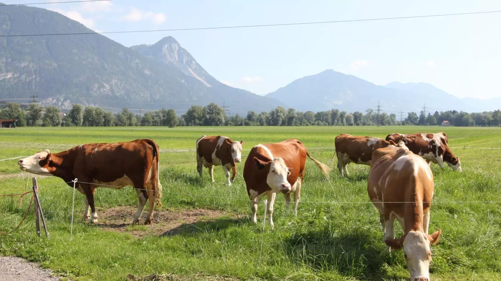 Schleicherhof V-Ambiente