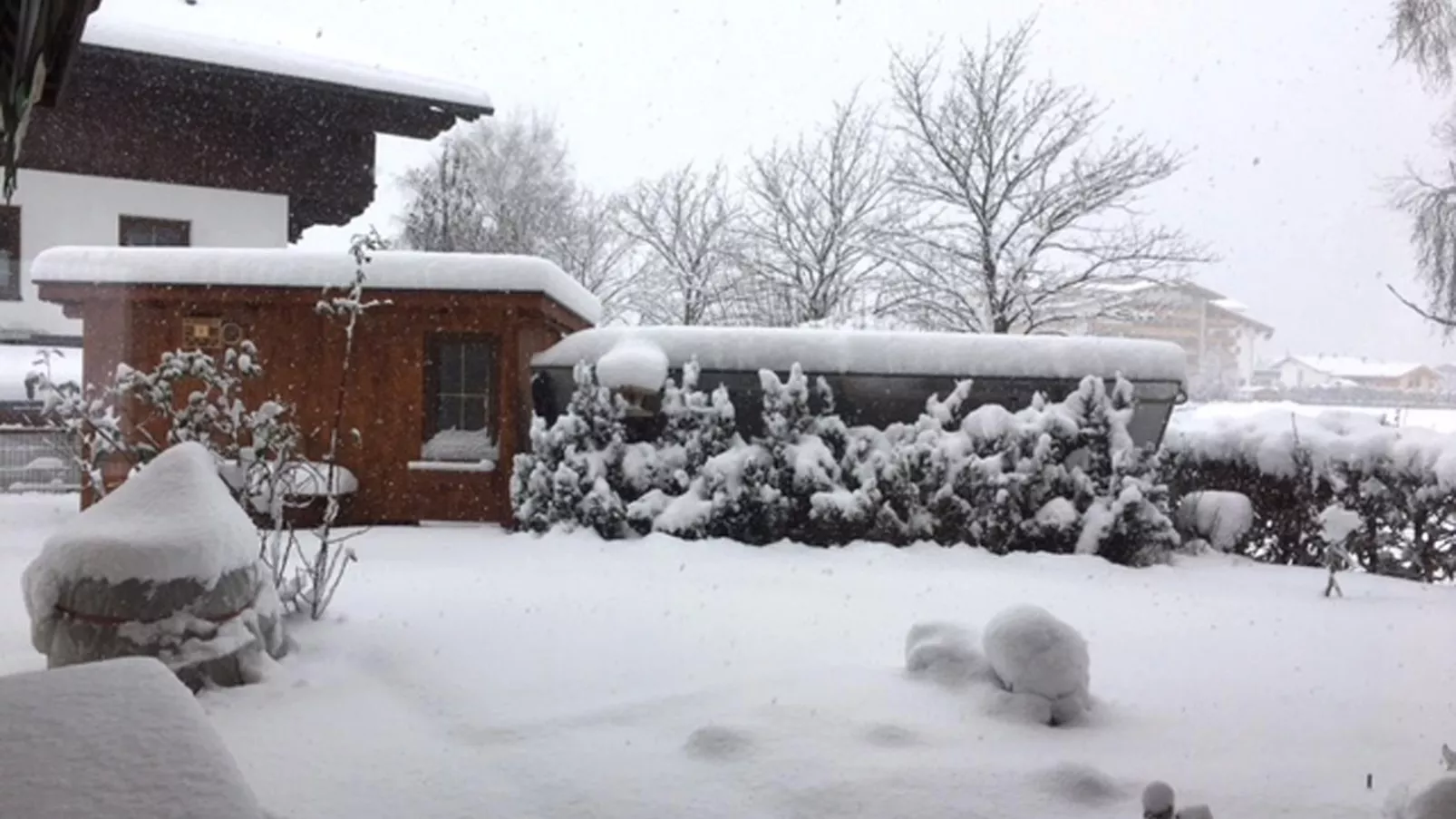 Wildauer-Exterior winter
