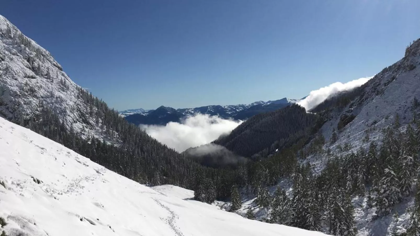 Wildauer-Area winter 20km