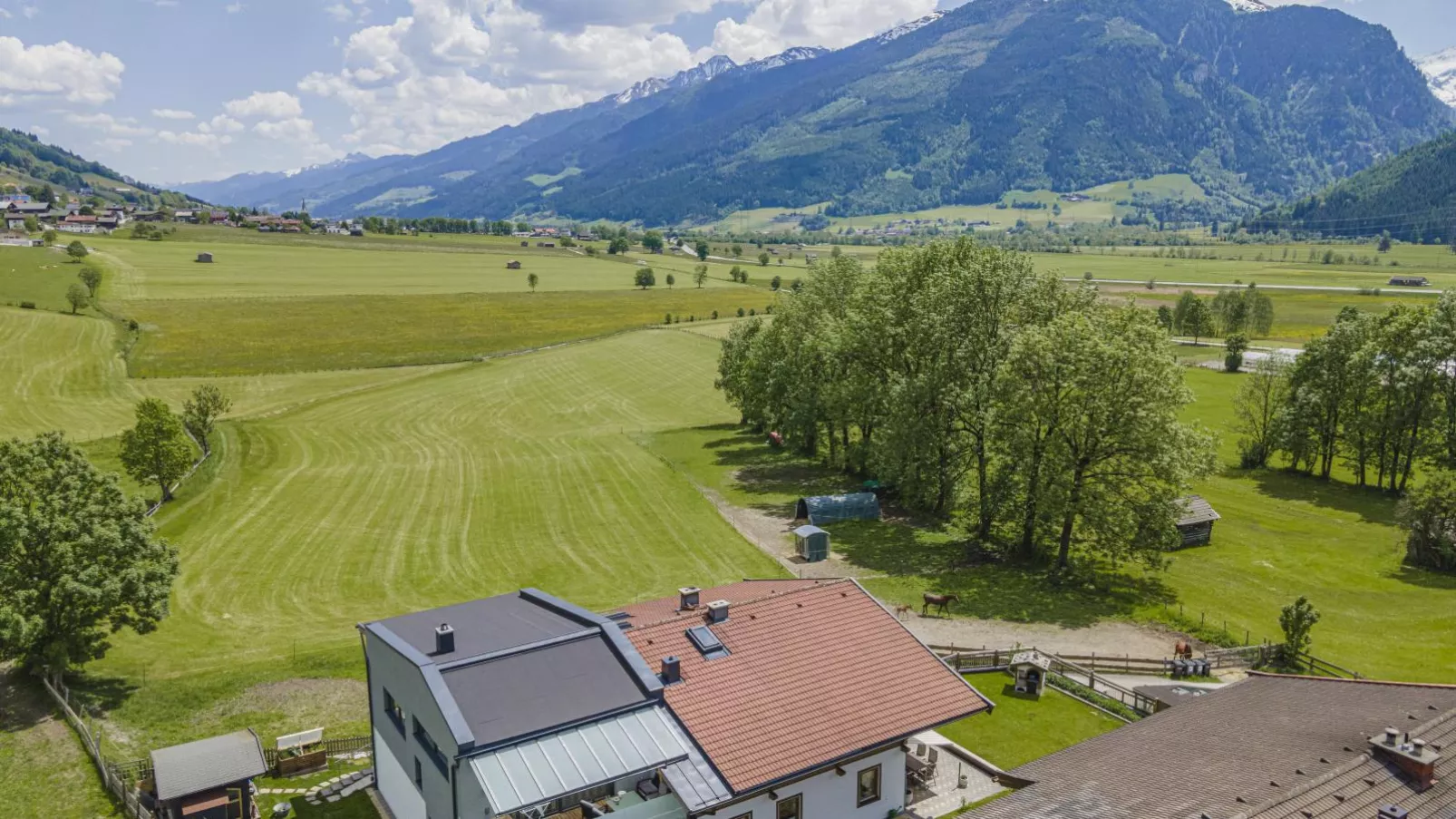 Gebirgsjagd-View summer