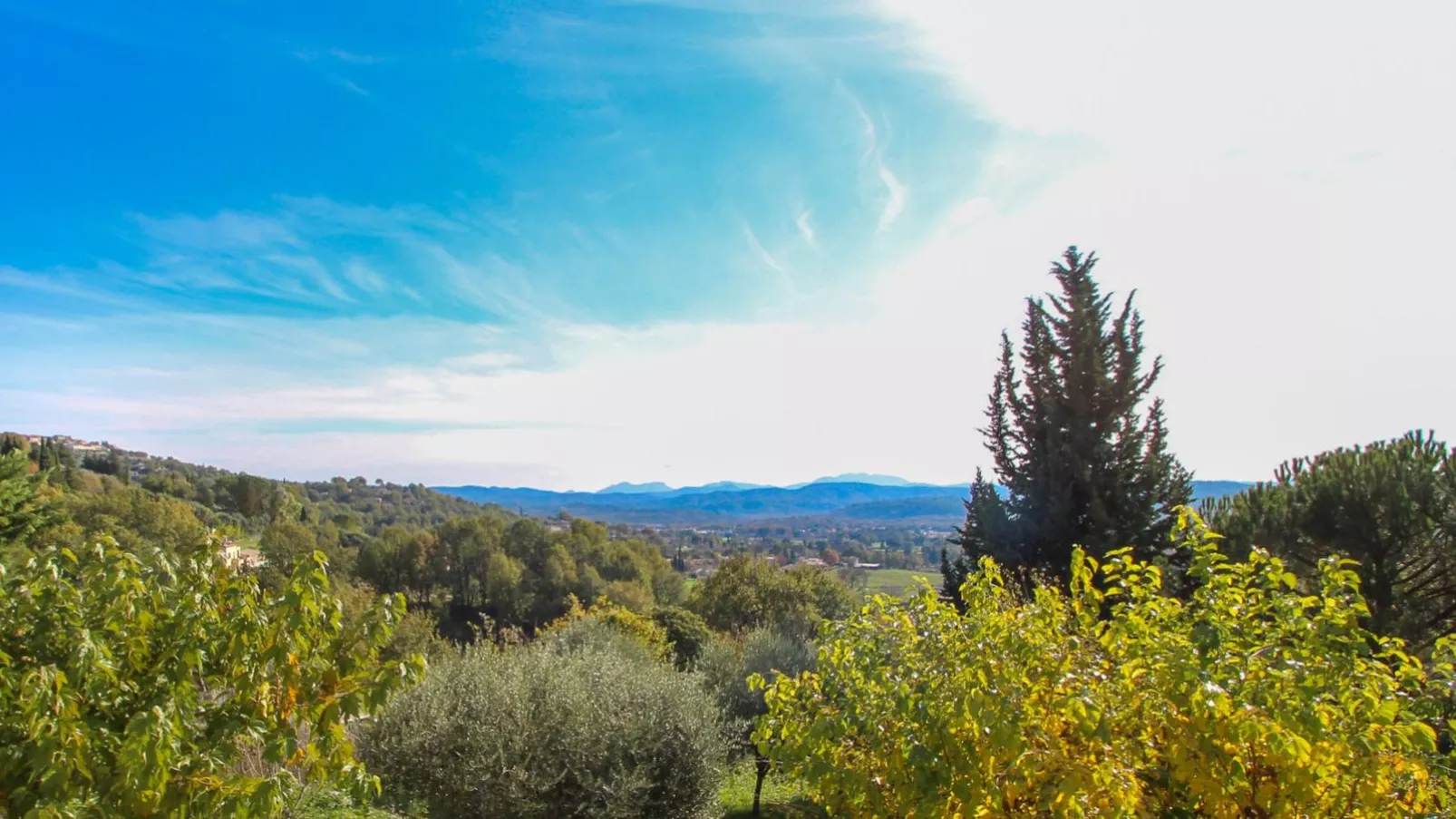 Villa Olivier-Aussicht Sommer
